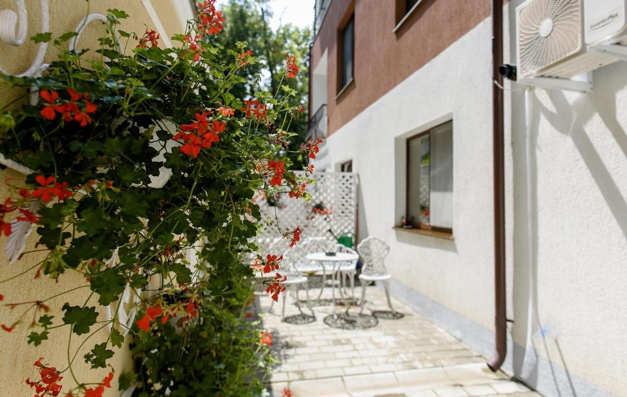 Carla'S Apartment, Airport & Train Station Shuttle Yaş Dış mekan fotoğraf